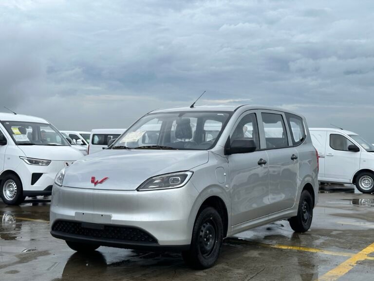 Wuling vehicle export inspection for African buyers at a China-side vehicle yard