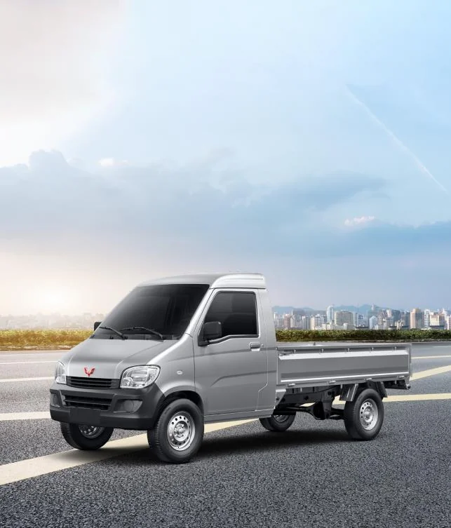Mini Trucks