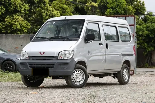 Wuling Sunshine panel van for Ghana light cargo evaluation