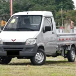 2023 Wuling Sunshine Pickup image 1