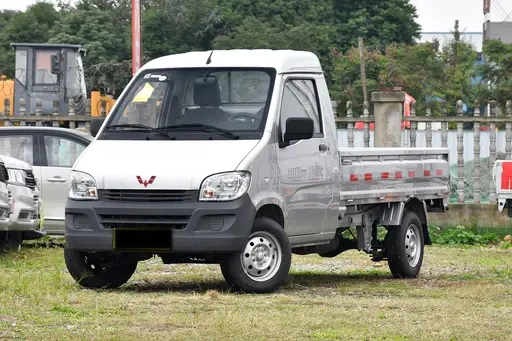 Wuling Sunshine Pickup mini truck for Ghana business use assessment