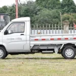 2023 Wuling Sunshine Pickup image 3
